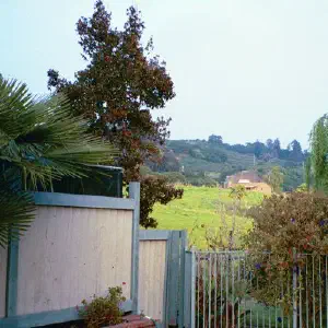 Greenhouse End