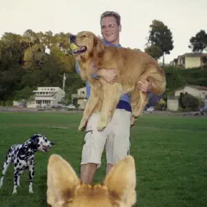 Stephen Dogs